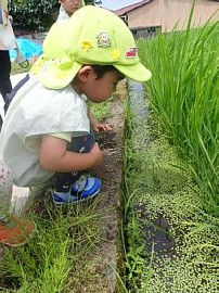2606月写真14